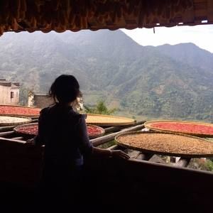 Meet your Posher, Fàng